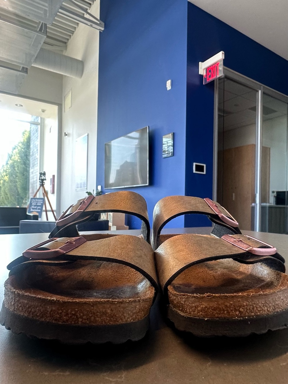 Women’s Birkenstock Arizona Double-Buckle Iridescent Slides - Picture 5 of 6